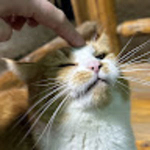 Meet your Posher, Cierra